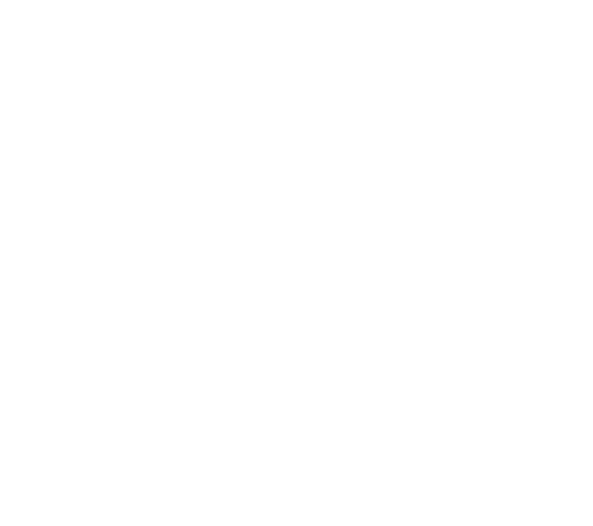 Lazy Cat Footprints