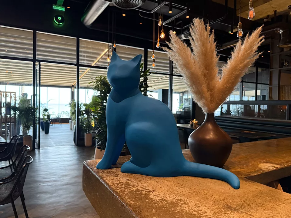 Lazy Cat Restaurant (Muscat) - Oman - 82070