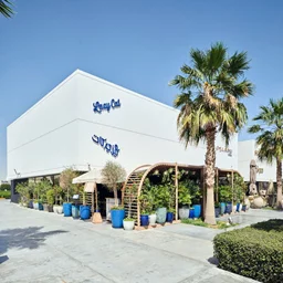 ليزي كات (مروج)