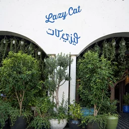 ليزي كات (السيف)