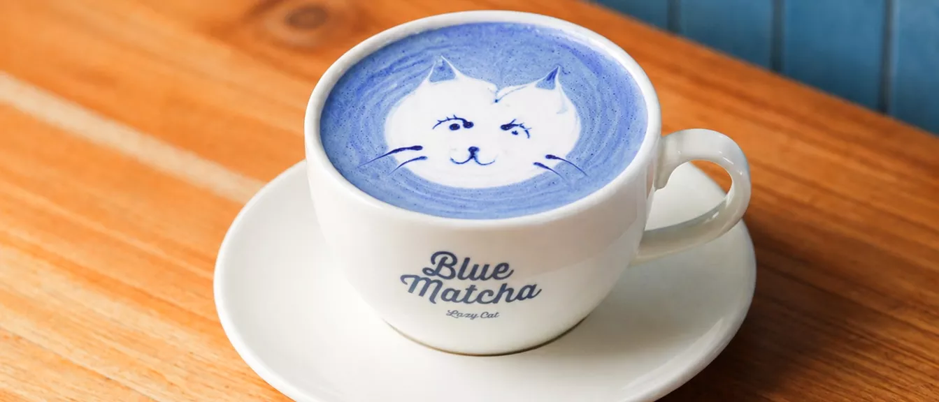 Cover Photo for Blue Matcha (Hot)